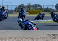 Yamaha R3 bLU cRU Asia-Pacific Race Two - The Bend 2024 - Okunuki broke away early again - Image RbMotoLens